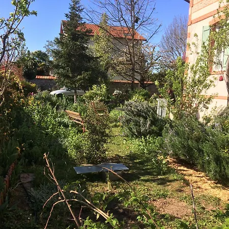 Pierre Τουλούζη